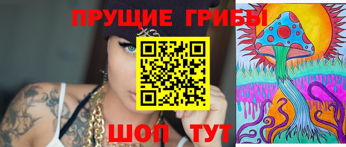 Псилоцибиновые грибы мицелий Таганрог