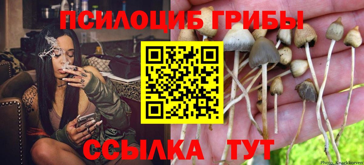 Таганрог  Псилоцибиновые грибы ЛСД  Вход с VPN 